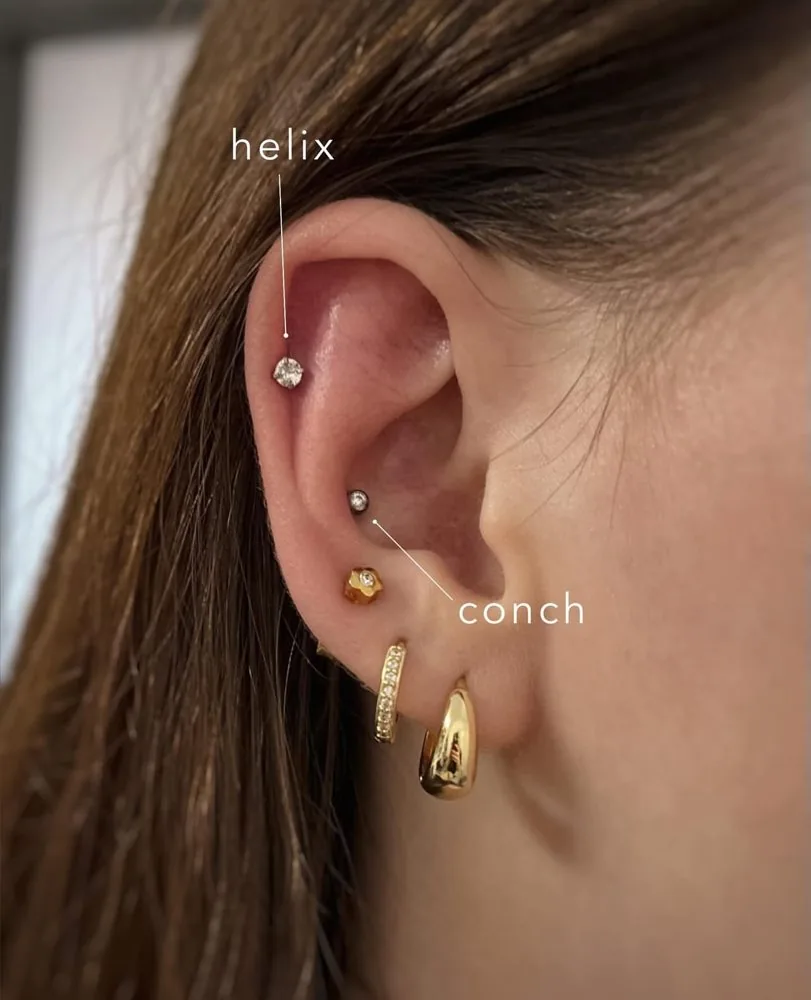 Helix ir conch su auksiniais auskarais